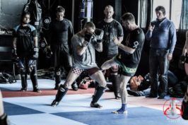 Mick Doyle Seminars